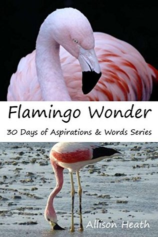 Download Flamingo Wonder: Picture Book (30 Days of Aspirations & Words Series 14) - Allison Heath | ePub