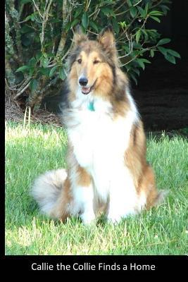 Read Callie the Collie Finds a Home: A True Story with a Happy Ending about a Puppy Who Wanted to Find a Home and Someone to Love Her - Eve S. Molinary file in ePub