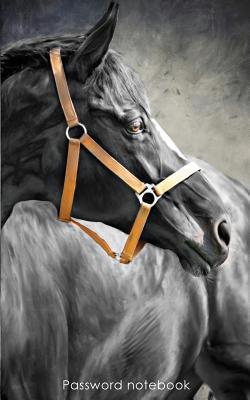 Read Online Password Notebook: Internet Address and Password Logbook / Journal / Diary - Black Horse Cover -  file in ePub