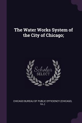 Read The Water Works System of the City of Chicago; - Chicago Bureau of Public Efficiency (Chi | PDF