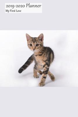 Full Download 2019-2020 Planner My First Love: Academic Student School Planner July 2019-2020 Weekly Calendar Organizer, American Shorthair Cover, 6x9, with Yearly and Montly Pages -  | PDF