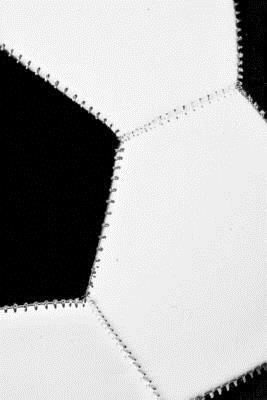 Read 2019 Weekly Planner Soccer Player Coach Team Sports Fan 134 Pages: (notebook, Diary, Blank Book) -  file in ePub