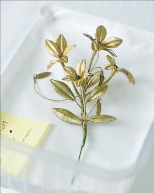 Download It Almost Seemed a Lily: Berlinde de Bruyckere - Berlin de Bruyckere | ePub