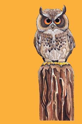 Read Online Hunting Owl - 2019 & 2020 Mid Year Academic Journal With Mind Maps, Budget Planner, Goal Setting & Inspirational Quotes - Straight Up file in ePub