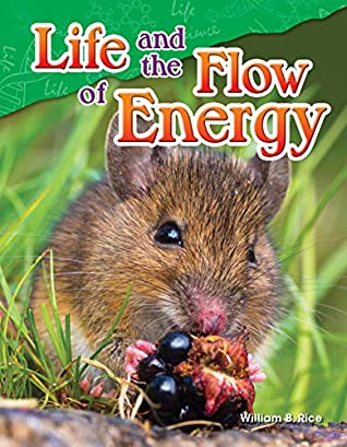 Full Download Life and the Flow of Energy (Science Readers: Content and Literacy) - William B. Rice file in ePub